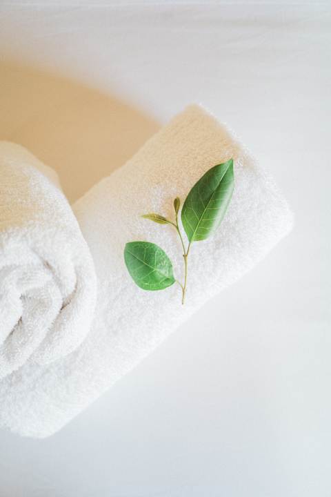 Zimmer Afroditi Pansion