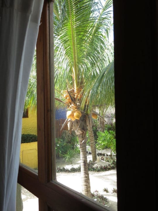 Selbsterklärend Hotel Villas Flamingos