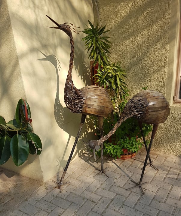 Sonstiges Hammerstein Lodge & Camp