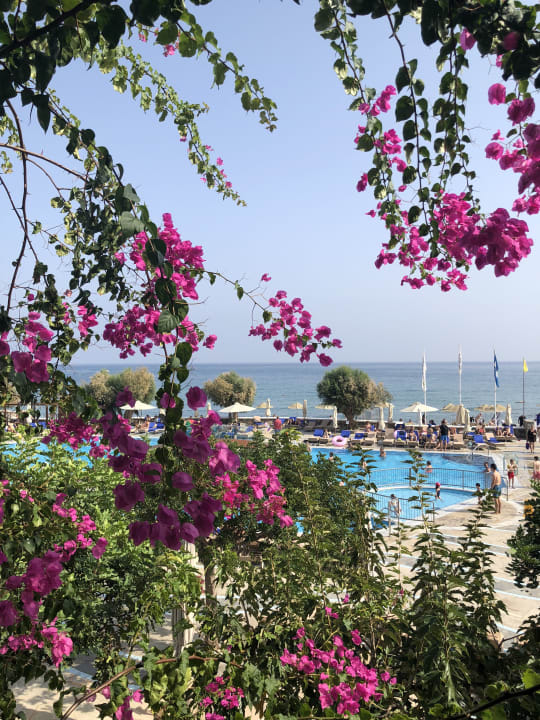 Pool Creta Maris Resort