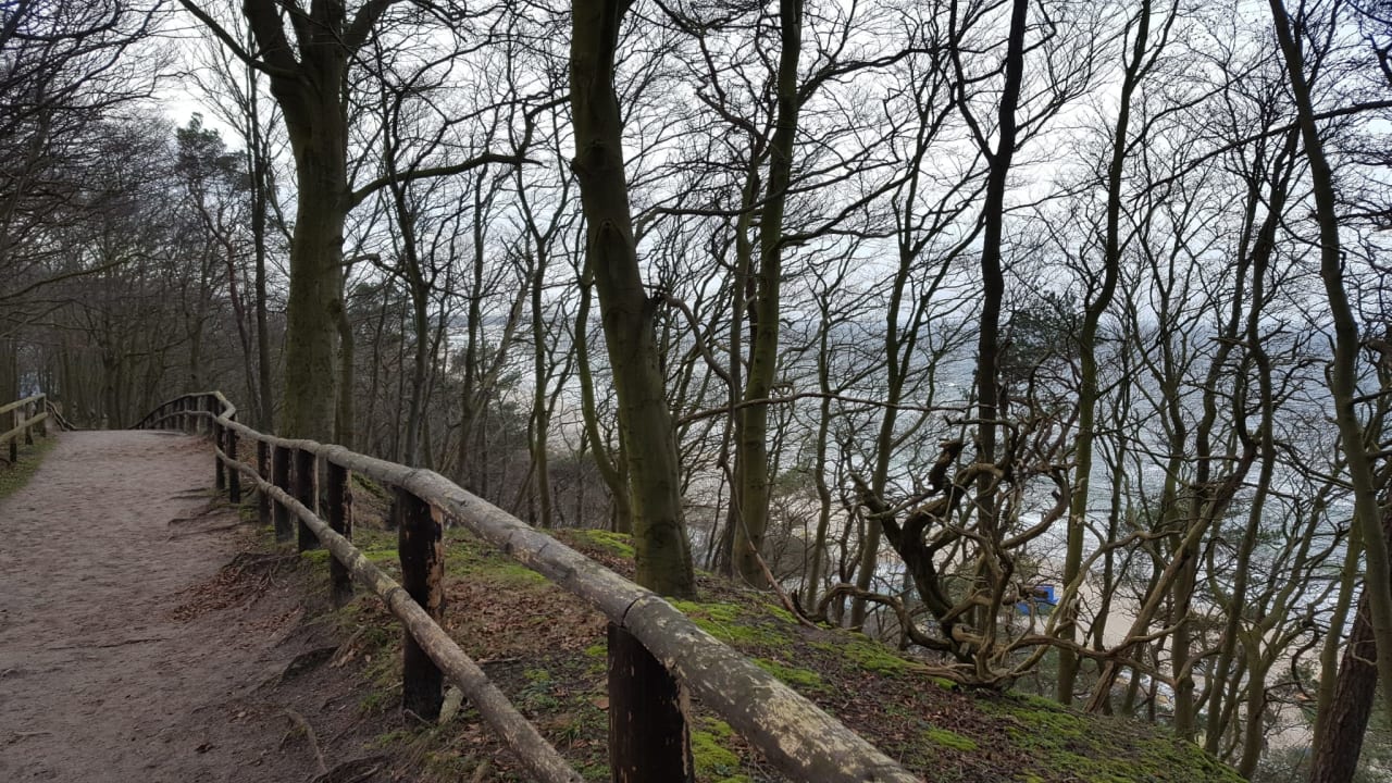 Ausblick Vestina Wellness & Spa Hotel