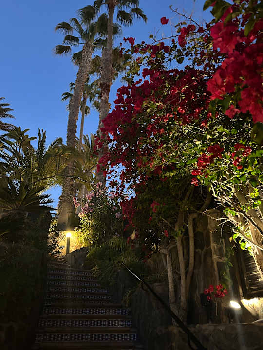 Außenansicht Corallium Dunamar by Lopesan Hotels