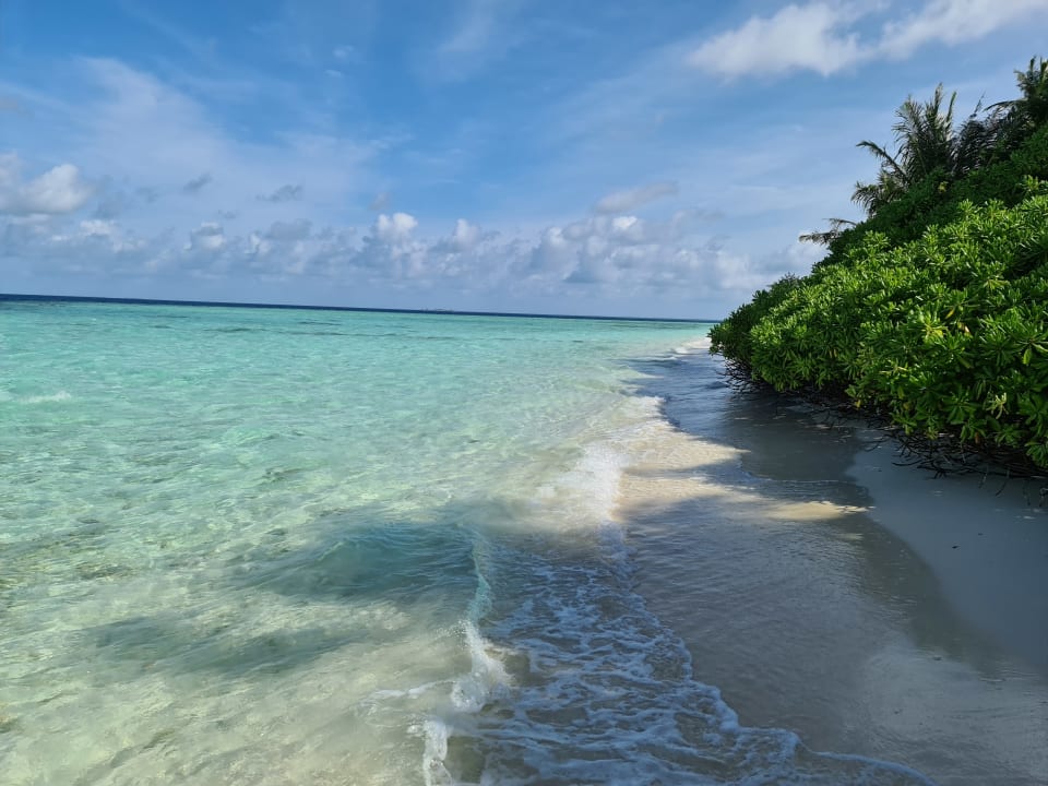 Strand Biyadhoo Island Resort