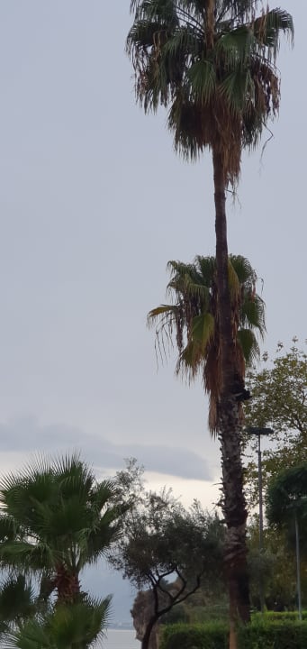 Ausblick Sherwood Exclusive Lara