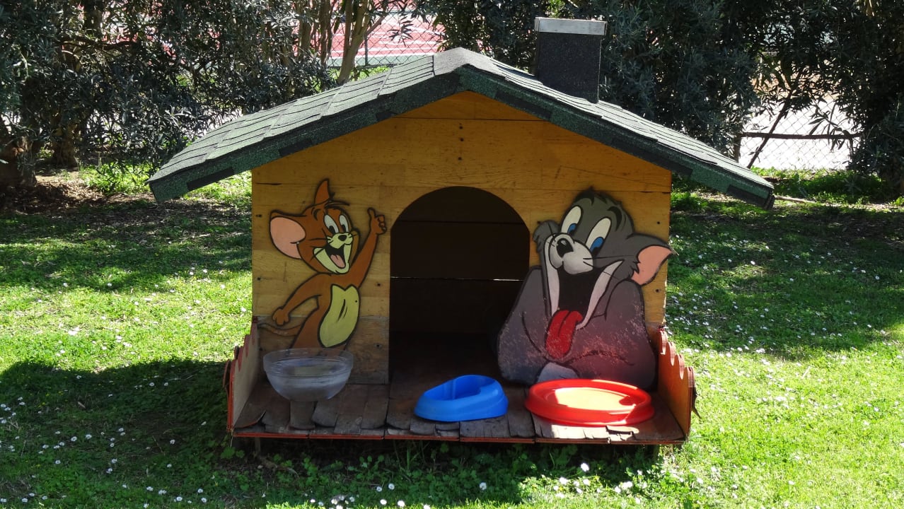 Katzenhaus Sunis Kumköy Beach Resort Hotel & Spa