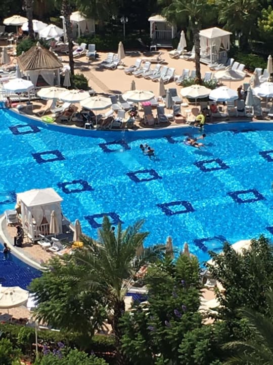 Pool Hotel Delphin Imperial