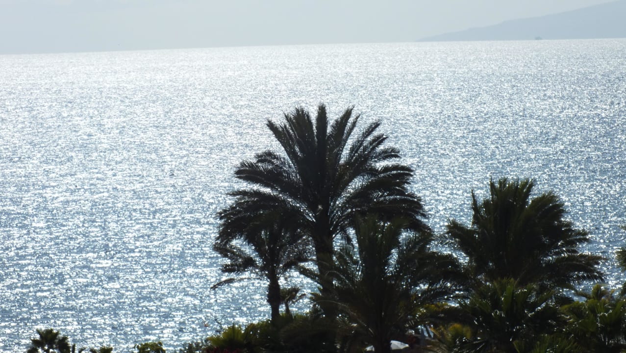 Aufs Meer Hotel Riu Palace Tenerife