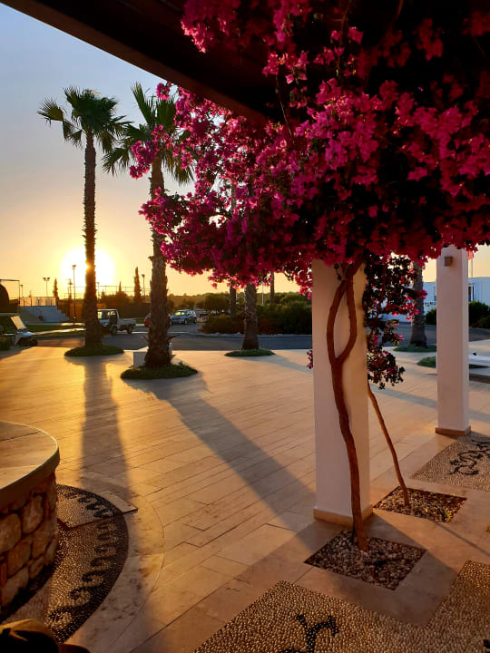 Lobby Atlantica Plimmiri