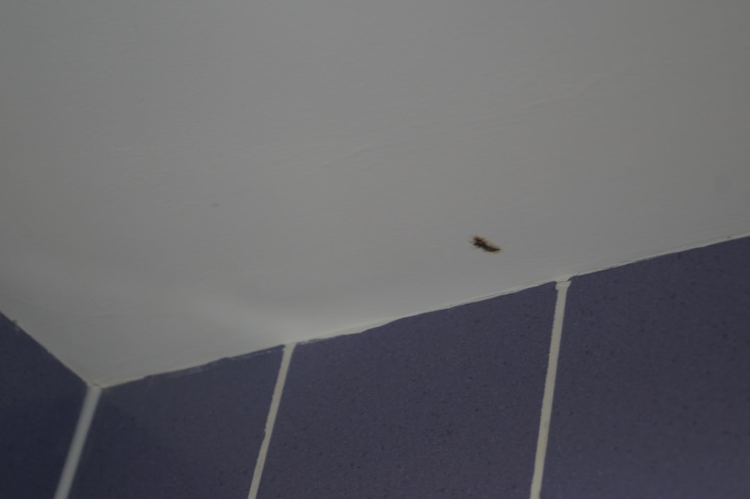 Zimmer Hotel Adriatic