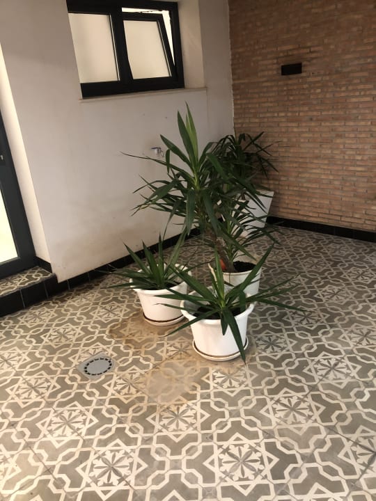 Zimmer VELALMA PISOS centro histórico