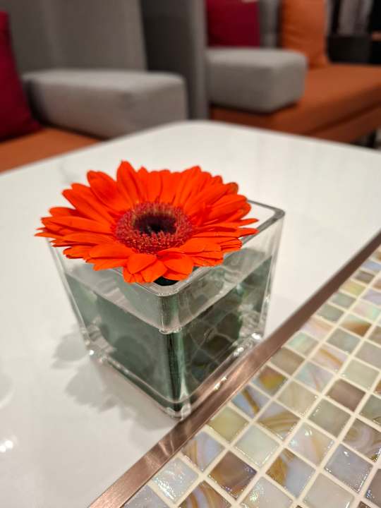 Lobby Pipa Hotel Bangkok Sukhumvit 11