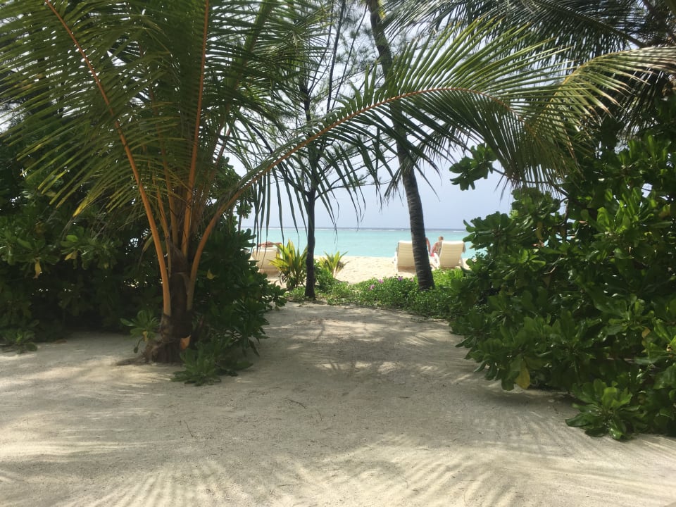 Ausblick Summer Island Maldives