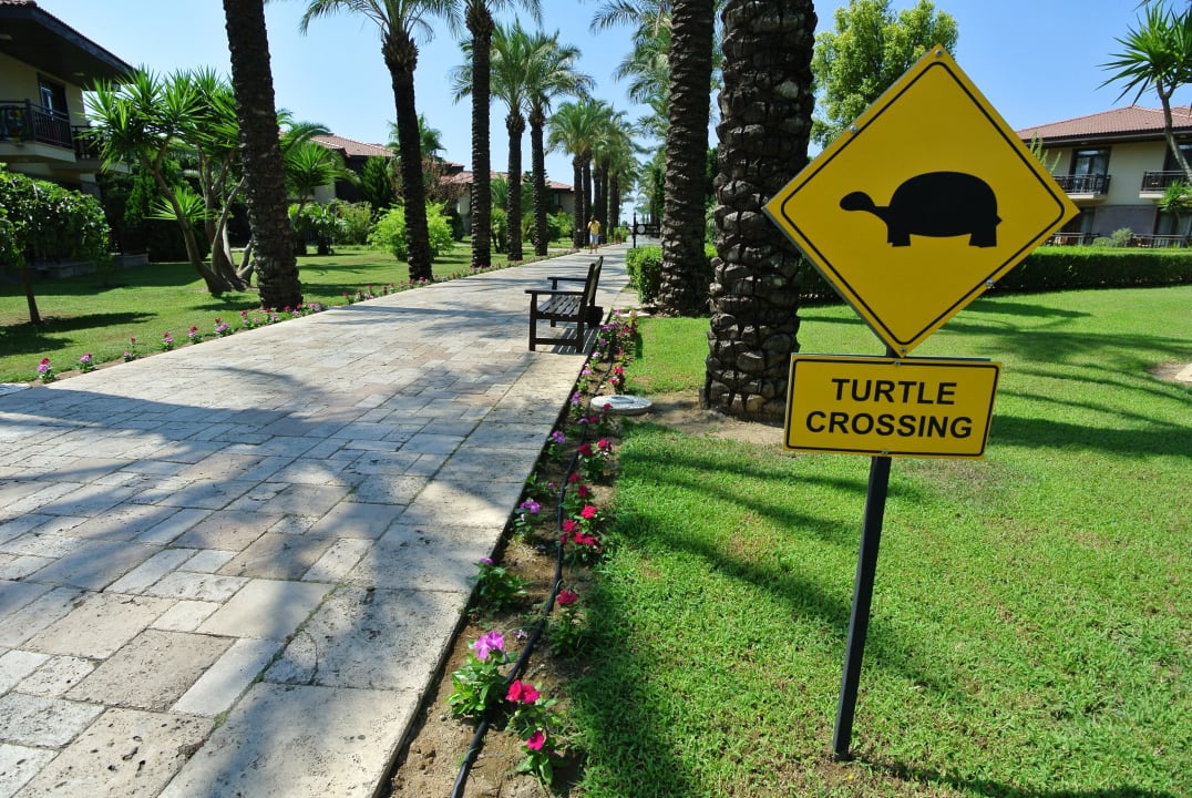 Achtung wilde Tiere !! TUI BLUE Palm Garden