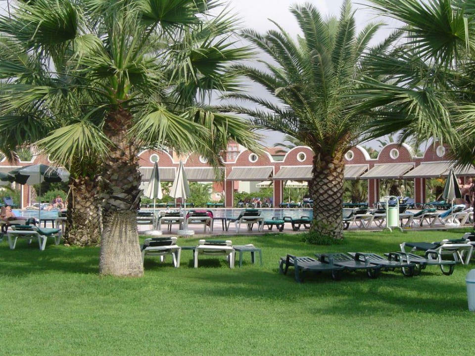 ..Garten Megasaray Club Belek