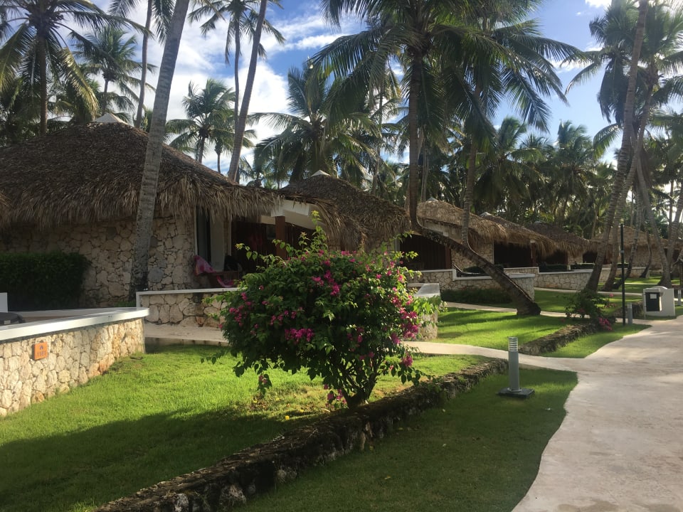 Außenansicht Hotel Viva Dominicus Beach by Wyndham - All Inclusive Resort