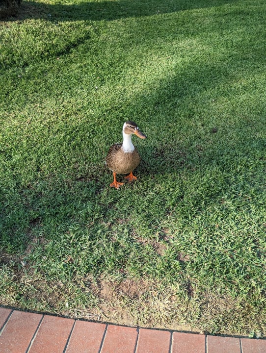 Sonstiges Grand Hyatt Dubai