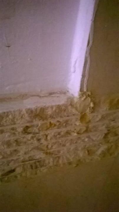 Bad  Seagull Beach Resort