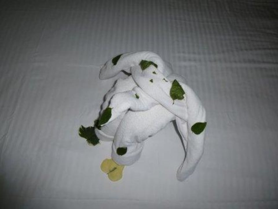 Deko im Zimmer TUI BLUE Seno - Adults Only