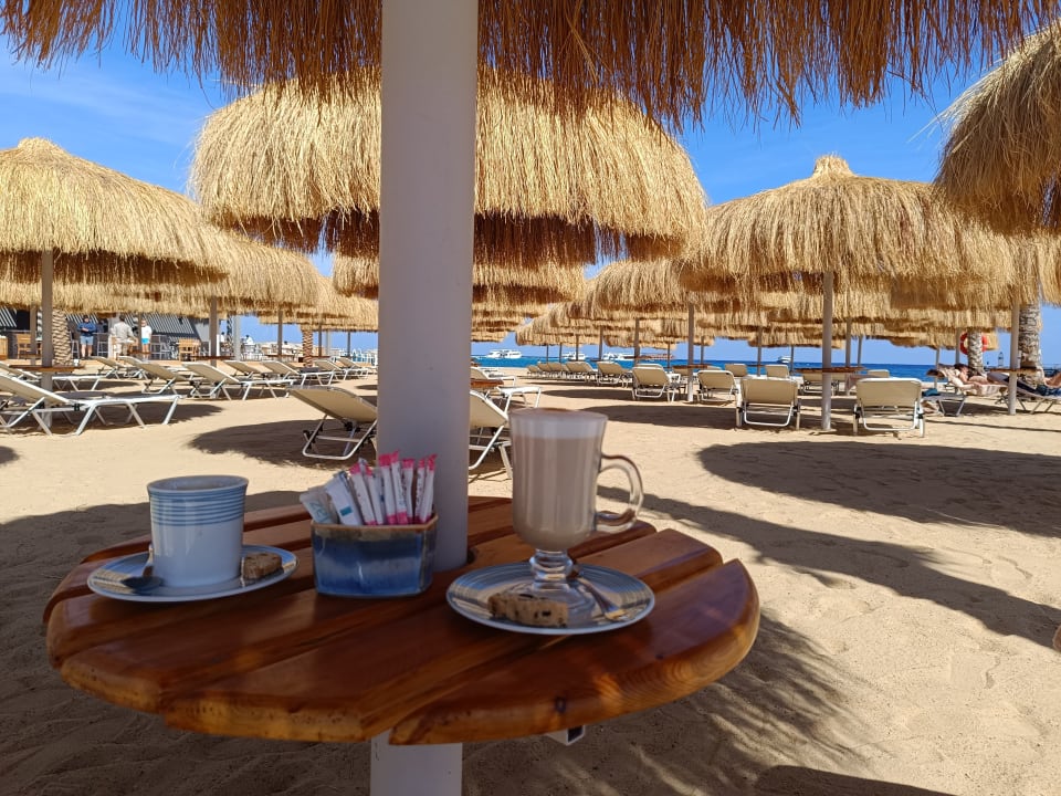 Gastro JAZ Elite Amara