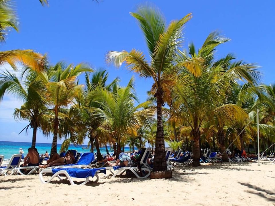 Strand Hotel Viva Dominicus Palace by Wyndham-All Inclusive Resort