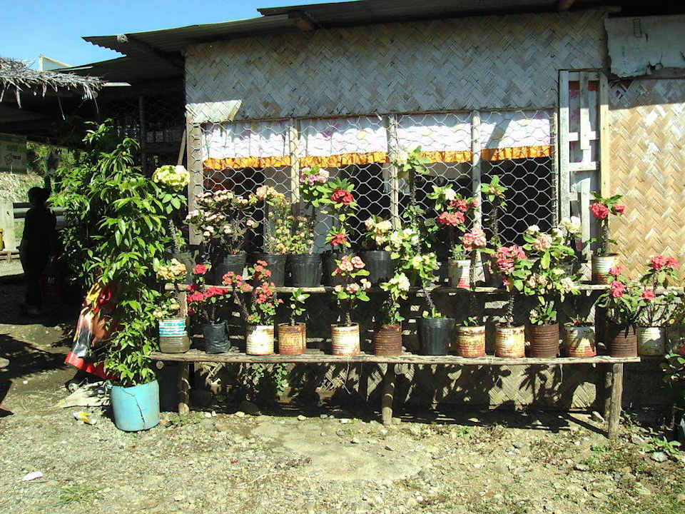 Am Straßenrand nach Sabang Bambua Nature Park Resort