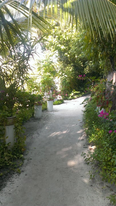 Weg zu den Wasserbungalows und Sundownbar Angaga Island Resort