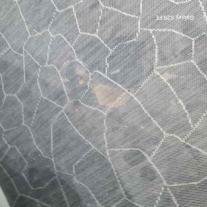 Zimmer BelleVue Club