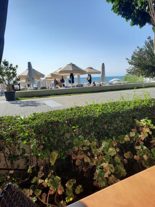 Ausblick Trendy Side Beach Hotel - Adults only