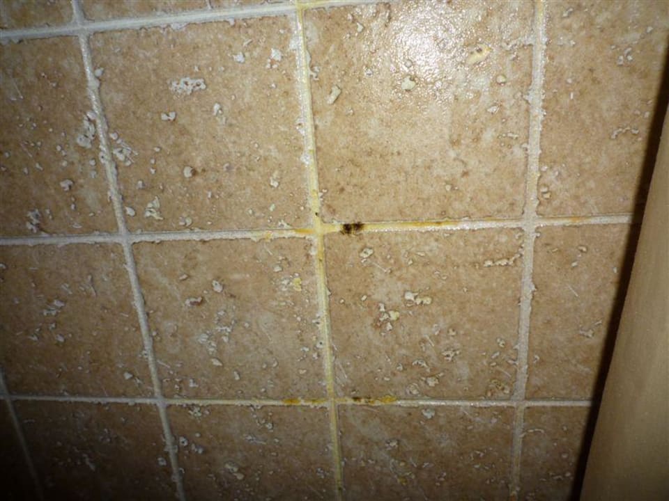 Schimmelige Fugen im Badezimmer Ilunion Sancti Petri