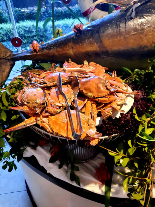 Gastro Well Palace Side