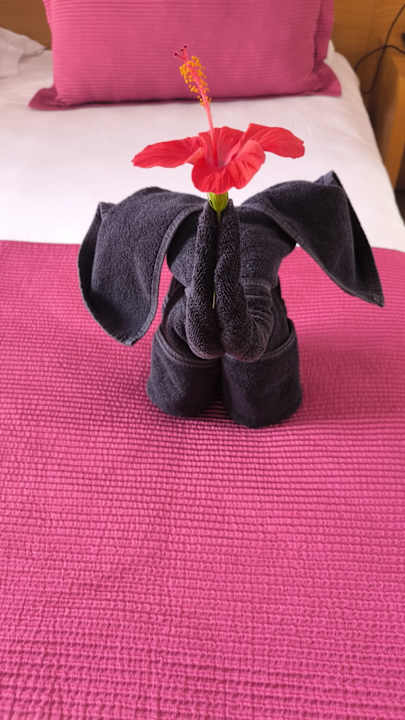 Zimmer R2 Romantic Fantasia Suites - Adults only