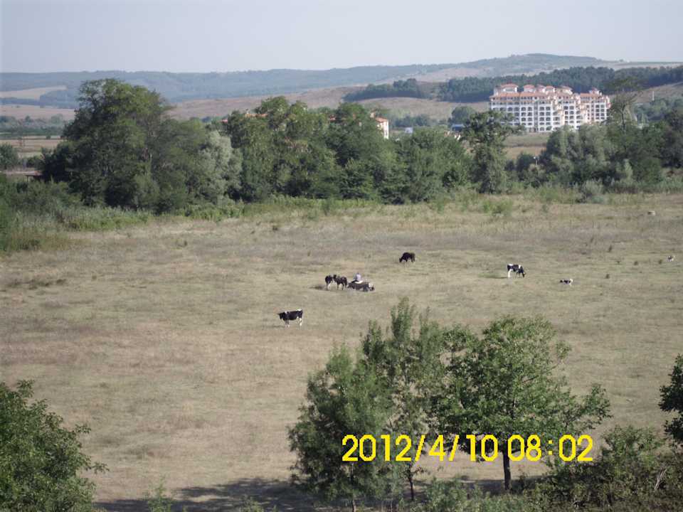 Blick vom Balkon Hotel Cazablanka / Casablanca