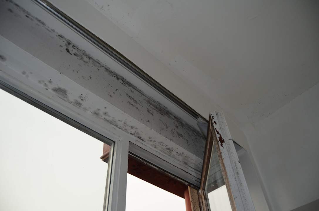 Bad Selina Liverpool