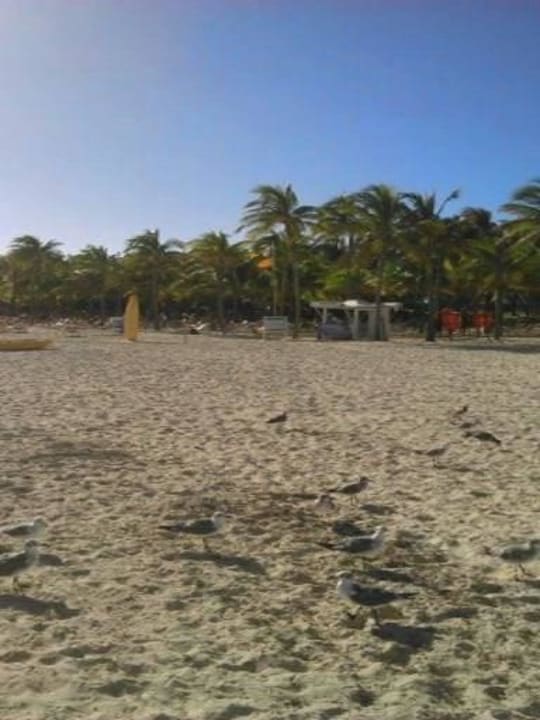 Strand Viva Maya by Wyndham - All Inclusive Resort