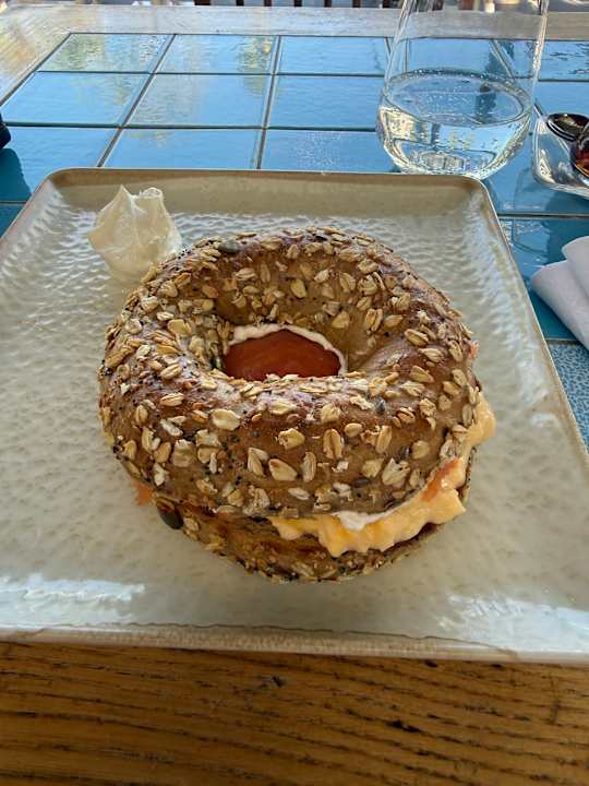 Gastro Acanthus Cennet Barut Collection