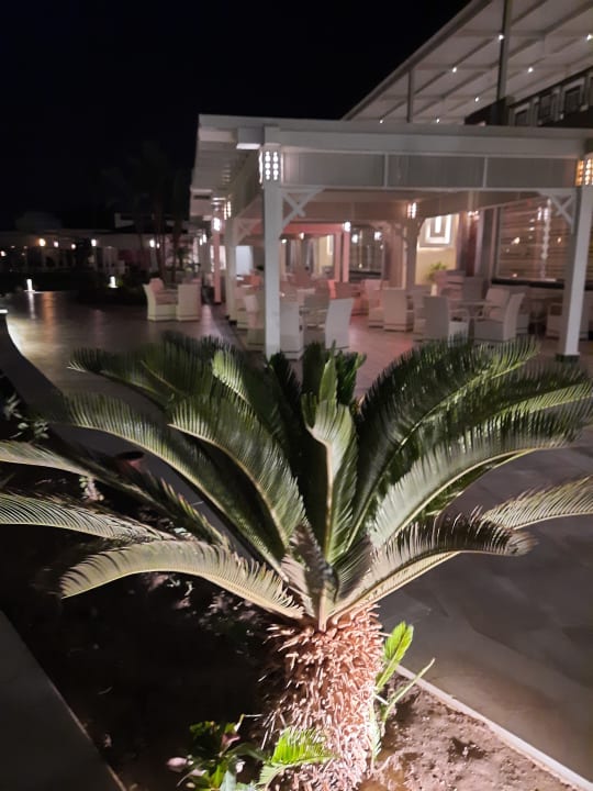 Gartenanlage Pickalbatros Dana Beach Resort - Hurghada