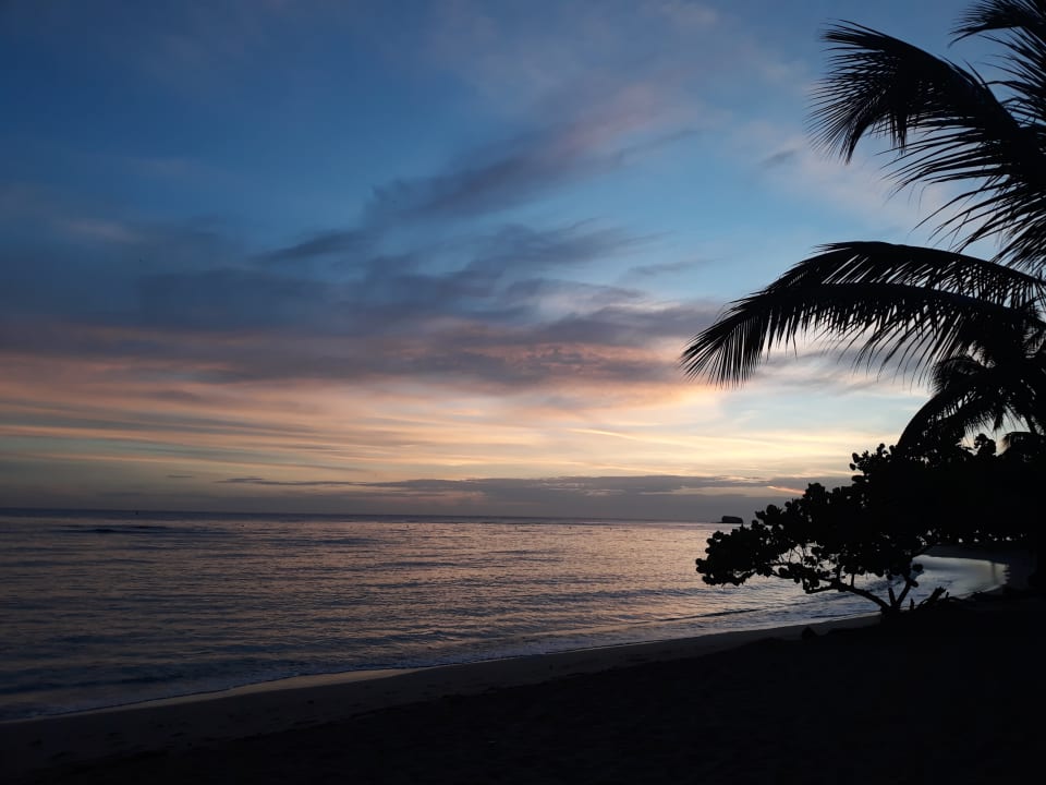 Ausblick Playabachata Hotel