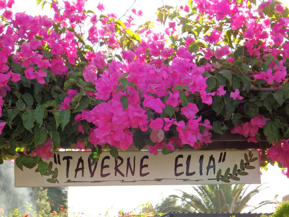 Griechische Taverne Anissa Beach & Village