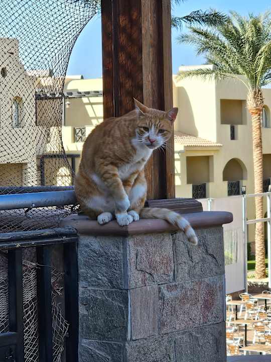 Strand Stella Garden Resort & Spa, Makadi Bay