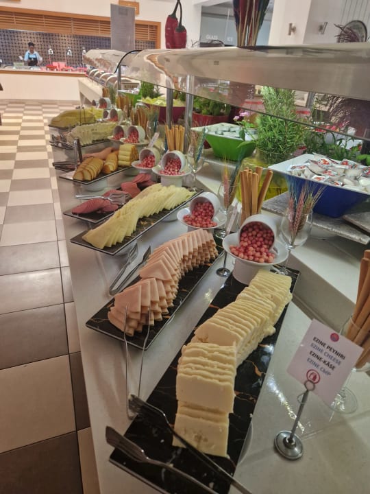 Gastro Barut B Suites