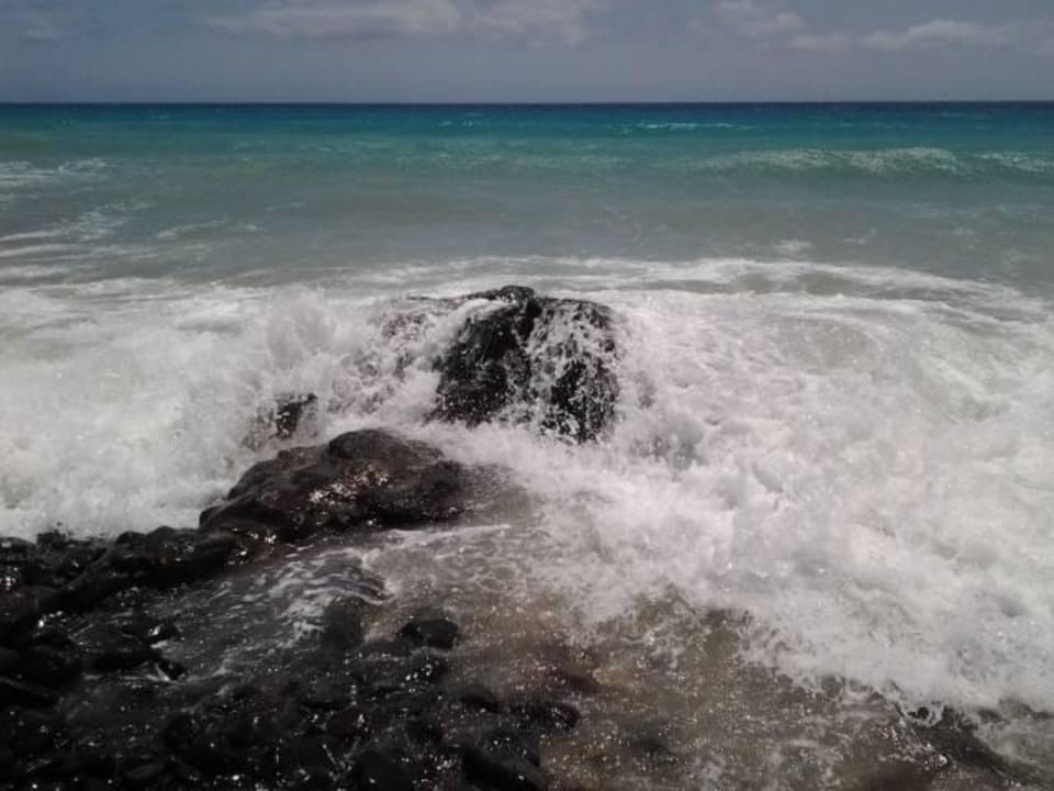 Sand und Steinstrand TUI MAGIC LIFE Fuerteventura