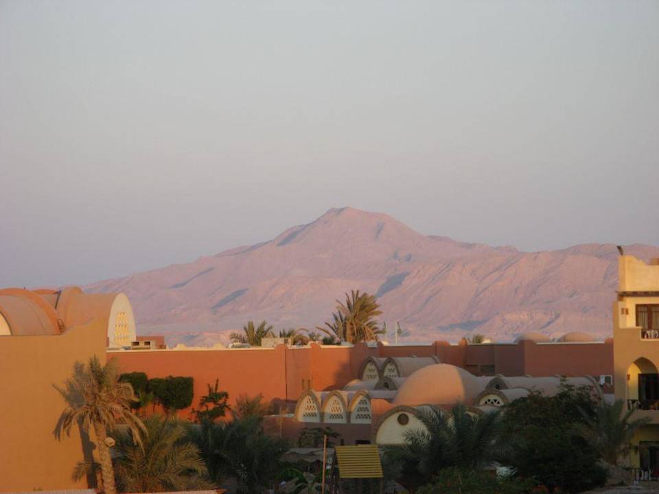 Widok z pokoju Palmyra Amar El Zaman Aqua Park