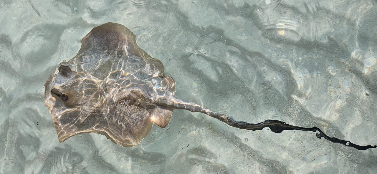 Strand Adaaran Select Meedhupparu Island Resort - Premium All Inclusive