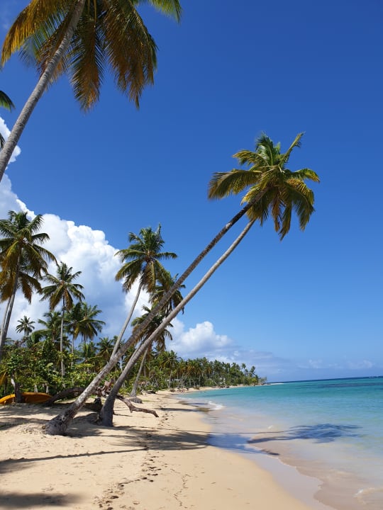 Strand Bahia Principe Grand El Portillo
