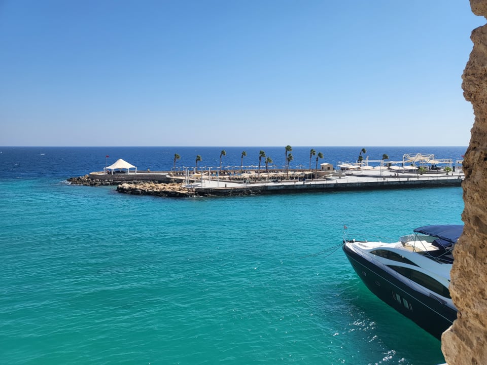 Citadel Training Program