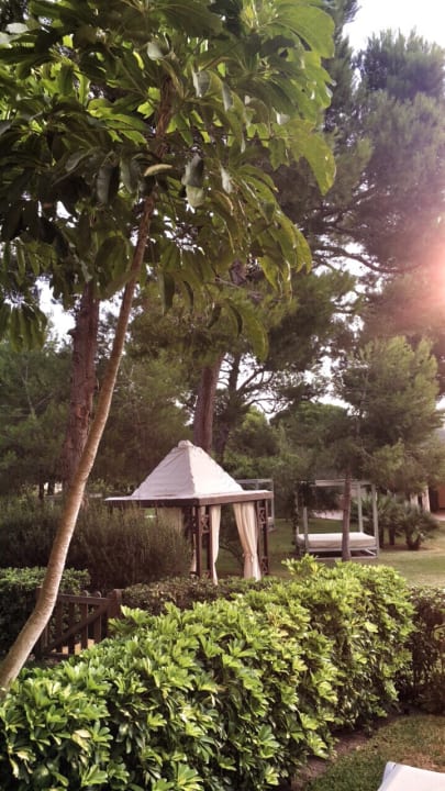 Gartenanlage Zafiro Mallorca