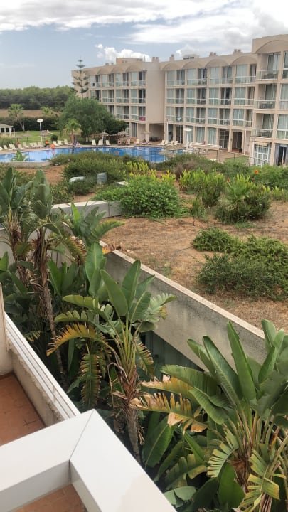 Gartenanlage Hotel Zafiro Alzinar Mar