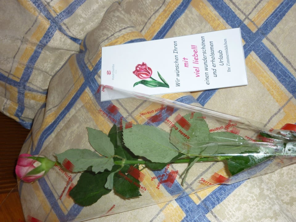 Bienvenida Hotel Clumba