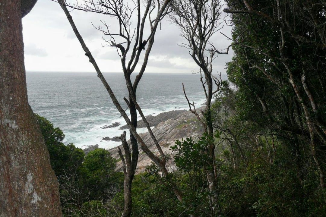 Klippen unterhalb der Anlage Hotel Misty Mountain Reserve