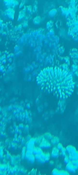 Sport & Freizeit Cleopatra Luxury Resort Makadi Bay